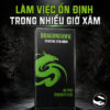 Kim xăm truyền thống Dragonhawk Professional Tattoo Needles là dòng kim dài dùng cho máy xăm coil hoặc tay cầm truyền thống, đóng hộp 50 cây, tiệt trùng EO Gas, phù hợp cho thợ xăm dùng đi nét, đánh bóng, tô màu và xử lý chi tiết theo từng cấu hình kim.