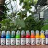 muc-xam-og-chinh-hang